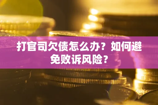 北京打官司欠债怎么办？如何避免败诉风险？