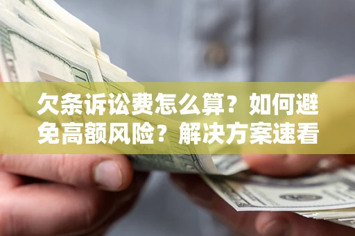 北京欠条诉讼费怎么算？如何避免高额风险？解决方案速看！