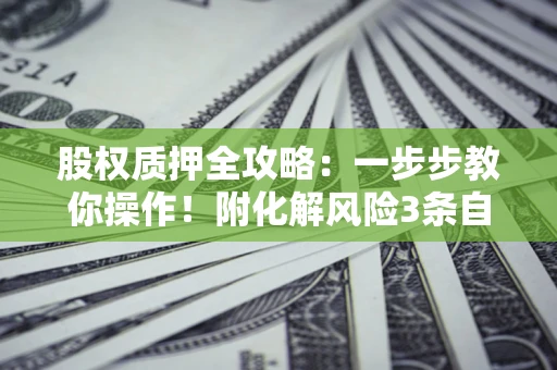 北京股权质押全攻略：一步步教你操作！附化解风险3条自救法则