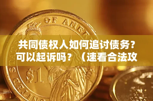 北京共同债权人如何追讨债务？可以起诉吗？（速看合法攻略）