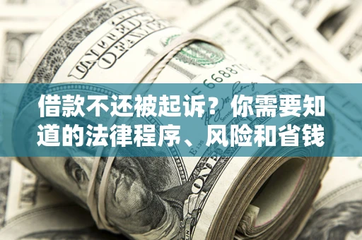 北京借款不还被起诉？你需要知道的法律程序、风险和省钱技巧